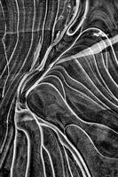 December-6, Ice Flow