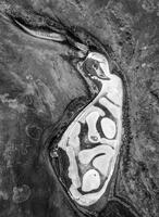 Cold Answer