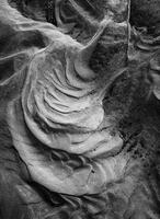 Dry Cycle