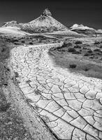 Desert Noon