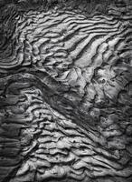 Tectonic