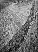 Tidal Flow