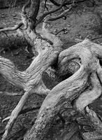 Take Heart