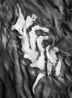 Yin-Yang Mud
