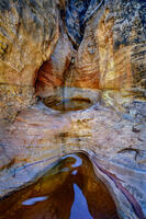 Natural Chalice
