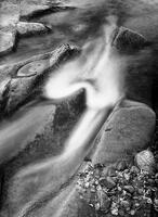 Heart Flow