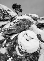 Winter Sleep