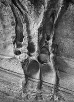 Stone Bones