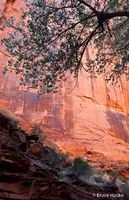 Day Canyon Wall