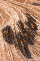 Raven Stain