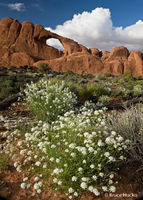 Skyline Arch i