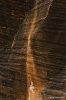Drip Line
