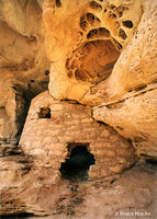 Honeycomb Site