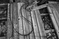 Cabin Floor