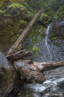 Henline Falls 1