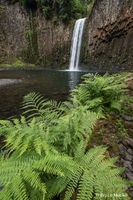 Abiqua Falls 3