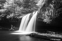 Butte Creek Falls Select BW