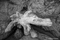 Prehistoric