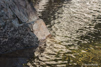 Stone Light