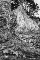 Losing Landscape BW