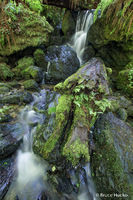 Trillium Falls