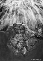 Primordial Kiss 2