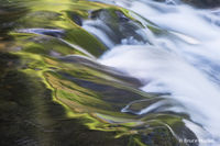 Below the Punchbowl