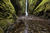 Oneonta Falls