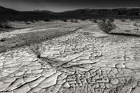 Valley Floor