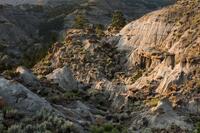 Day's End, Makoshika SP