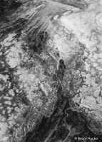 Clinging to Rock
