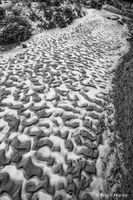 3 Tone Path