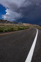 Hwy 50, White Line Fever