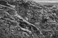 Lost Landscape