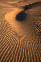 Dune Dimple