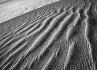 Sand Worms