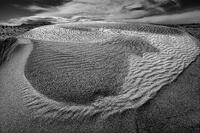 Roadside Dune