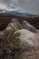 Ruby Pass