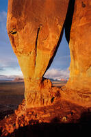 Tear Drop Arch