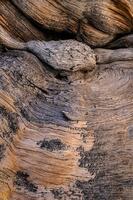 Texture