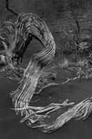 Simple Twist of Fate