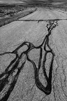 Wyoming, Road Painting