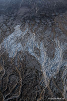 Tracks