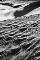 Dune Poetry