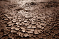Parched
