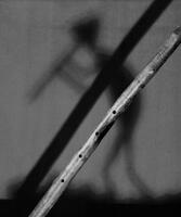 Kokopelli's Flute, AMNH