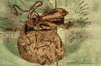 Hide Bag, contents unknown, AMNH