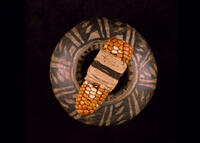 Wrapped Corn, AMNH
