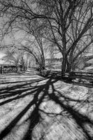 Homestead Driveway