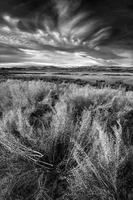 Feathered Clouds, Wyoming